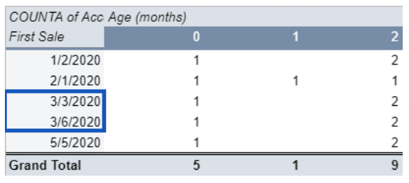 A Pivot table with the number of First Sale and Account Age (months).