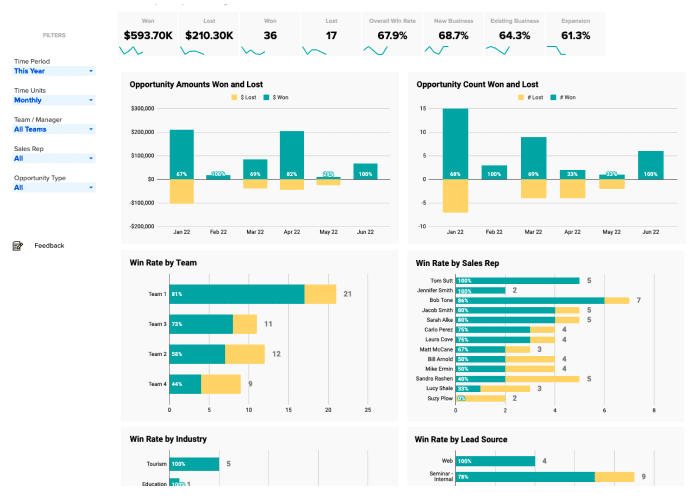 Salesforce Win-Loss Analysis Thumbnail