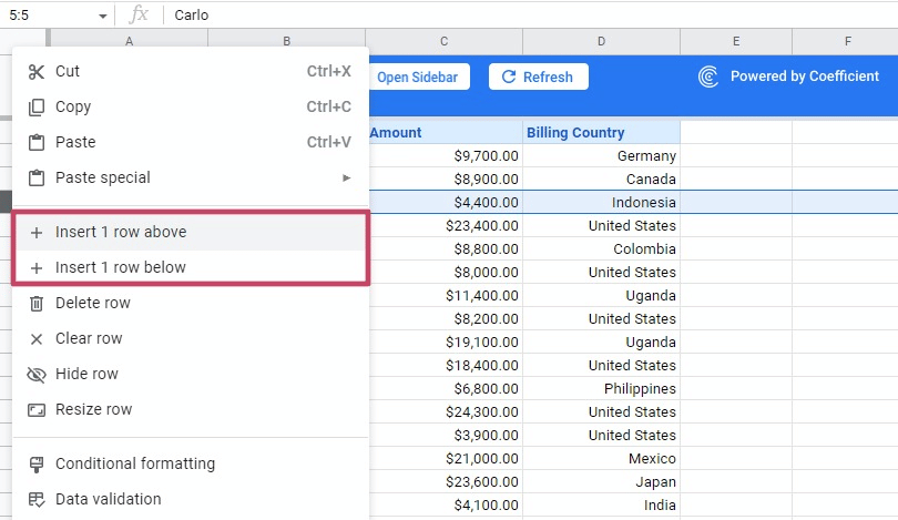 How To Insert Multiple Rows In Google Sheets Coefficient