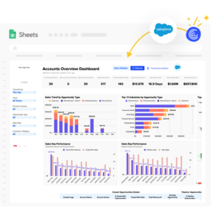 Salesforce Accounts Overview Template