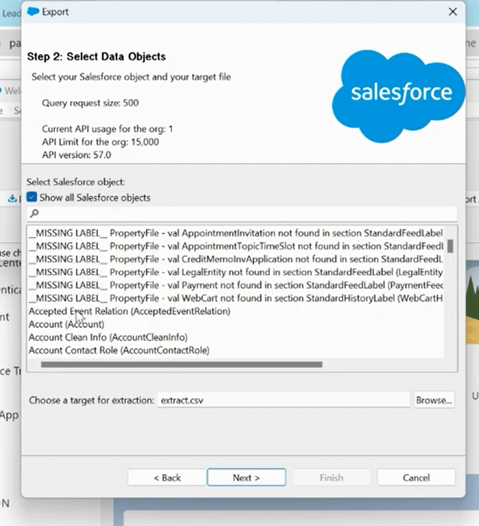 Clicking on ‘Show all Salesforce objects’ to display a complete list of available data objects, including custom and unnamed categories.