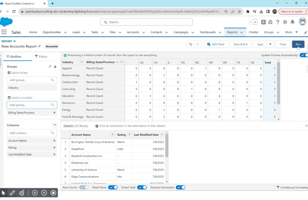 Previewing the matrix report in Salesforce by clicking 'Run'