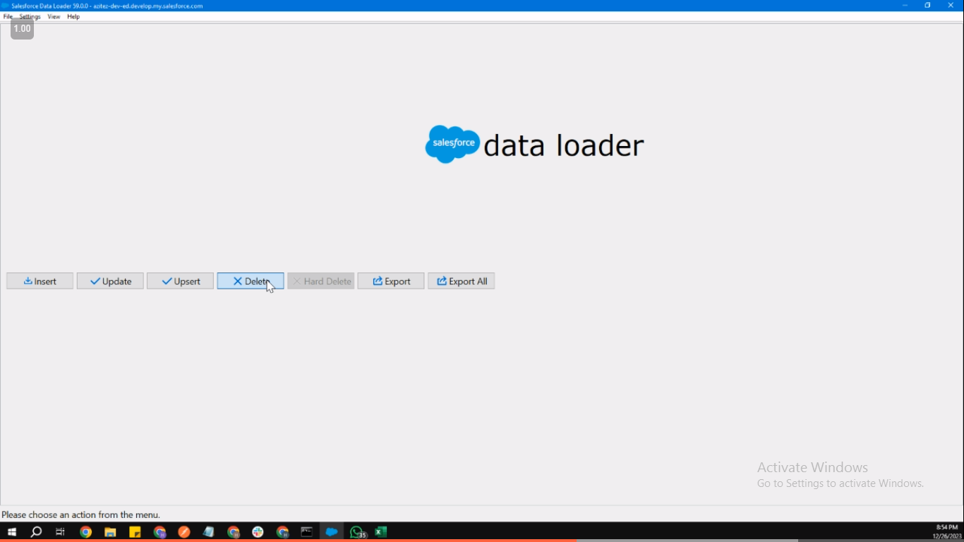 Accessing the delete function in Salesforce Data Loader