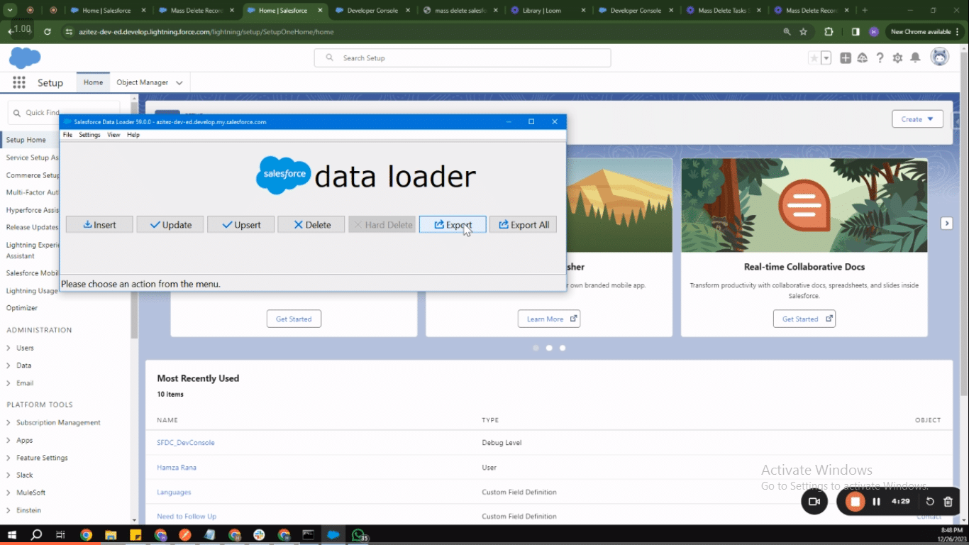Initiating the Salesforce Data Loader for opportunity deletion
