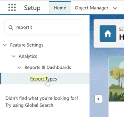 Searching for ‘Report Types’ in Salesforce Setup