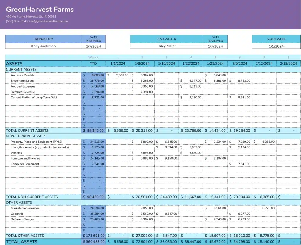 weekly balance sheet template