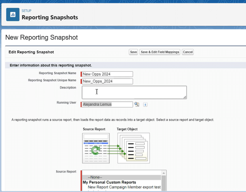 Naming and configuring Salesforce reporting snapshot