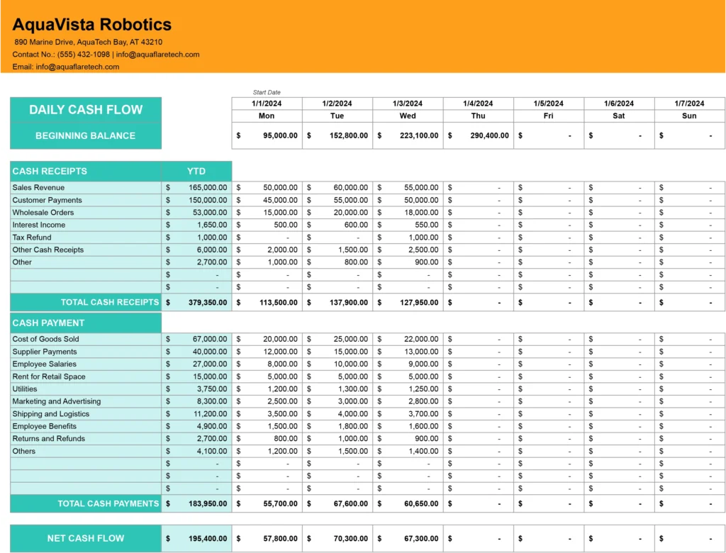 Daily Cash Flow template