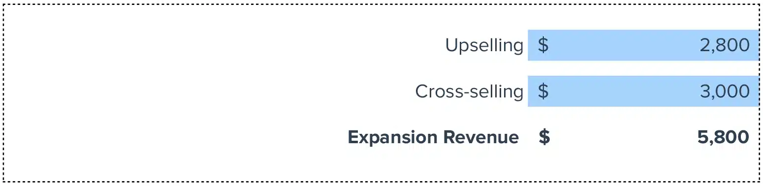 Expansion Revenue
