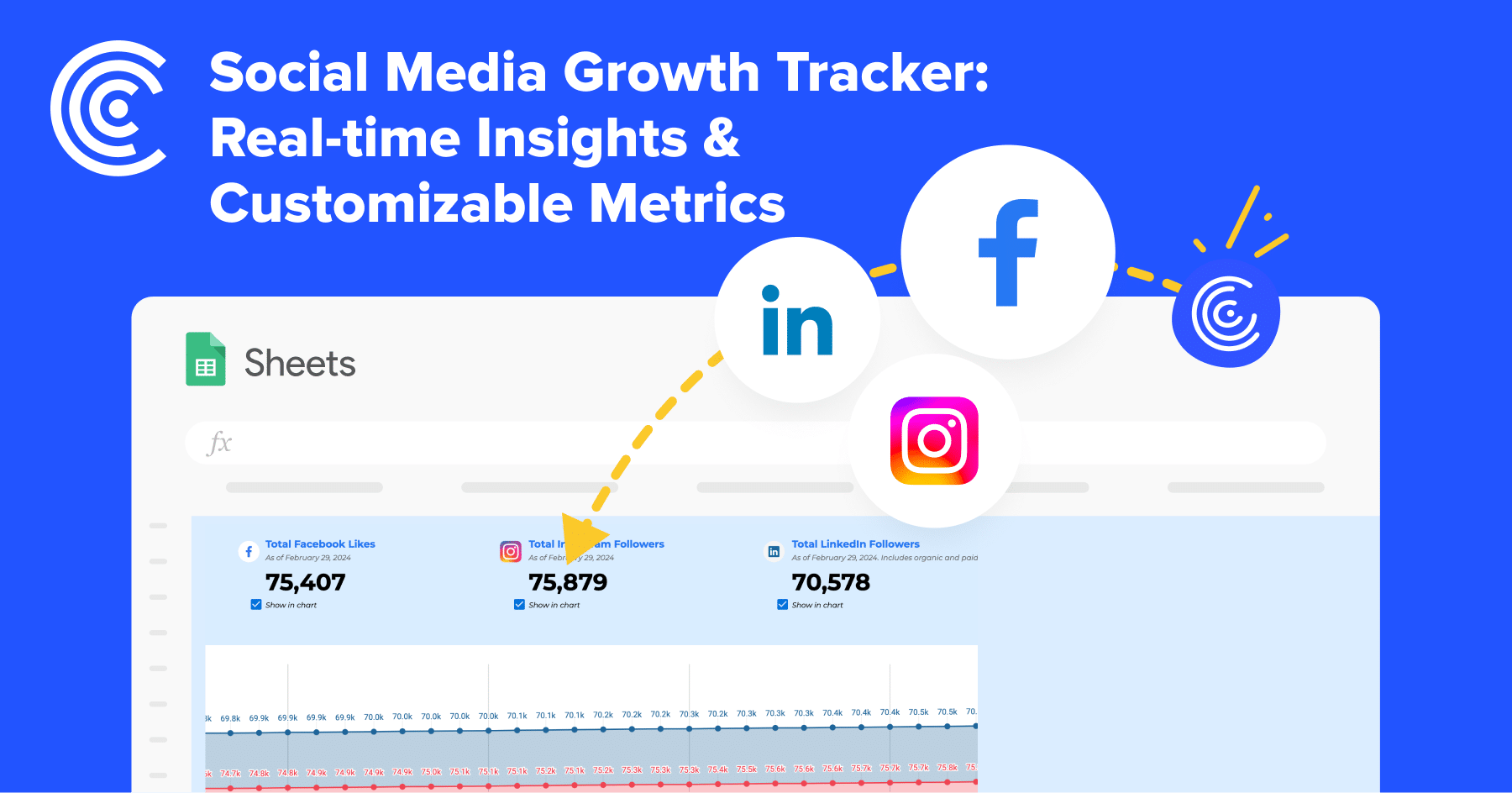 Social Media Growth Tracker Report