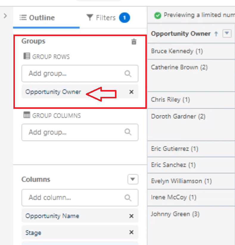  Grouping the Salesforce report by Opportunity Owner and configuring essential report settings for clear output.