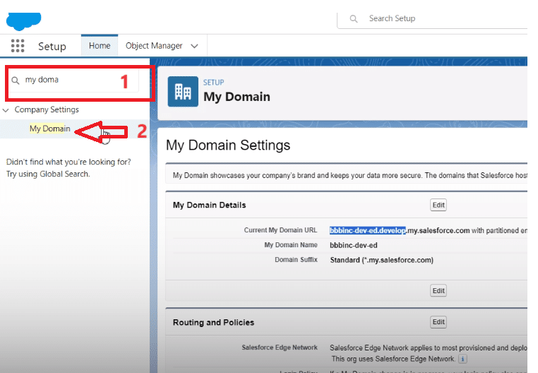 Locating the 'My Domain' section in Salesforce setup to find custom domain information.