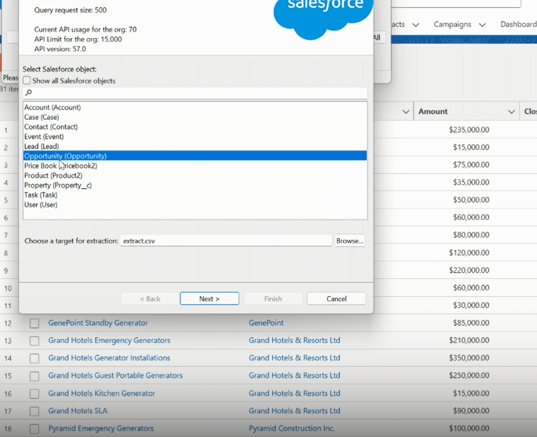 Customizing the export by selecting specific fields from the Opportunity object in Salesforce.