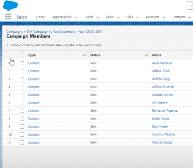 Detailed view of Salesforce Lightning export options for campaign members.