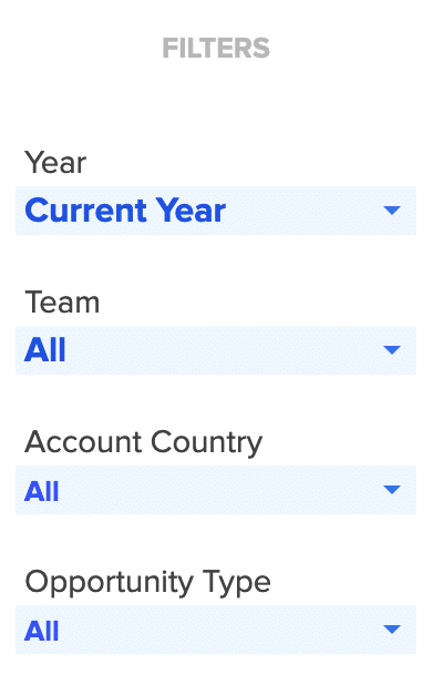 Filtering sales performance by year, team, account category, or opportunity type.