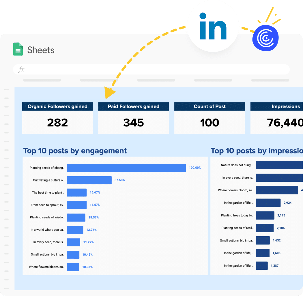 LinkedIn Page Performance Report