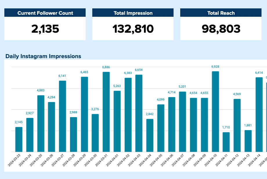 Instagram Page Performance Report