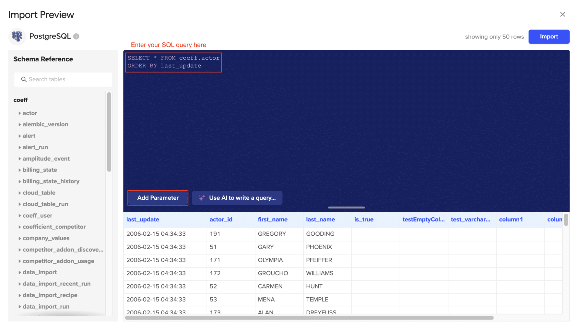 Entering your SQL query in the provided window.