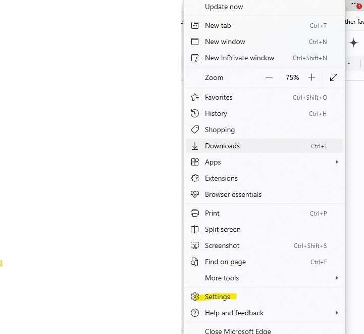 Google Chrome browser settings menu accessed through top-right dropdown