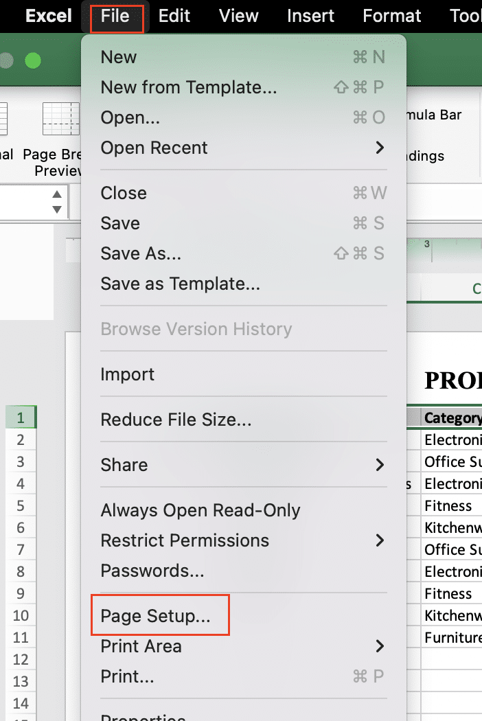 Page setup dialogue for placement options.