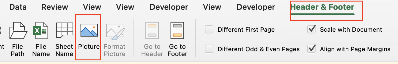 Picture insertion button in header and footer elements group.